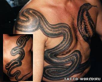 Snake Tattos,Tattos Snake (89)