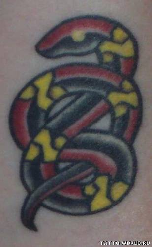 Snake Tattos,Tattos Snake (79)