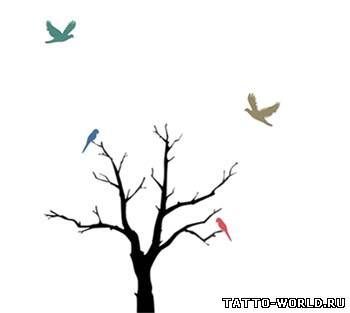 Tattoo bird,tattoo bids,birds Tatto,tatuirovki ptic,nakol...