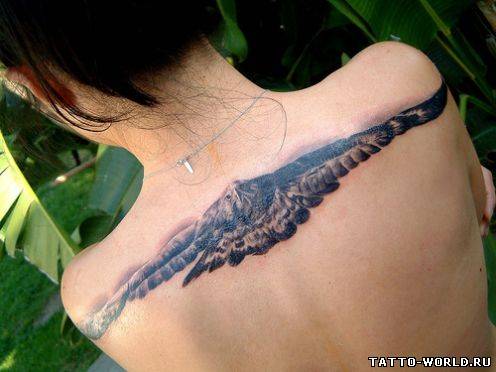 Tattoo eagle,eagle tattoos,eagle tatto,taturiovki orlov,o...