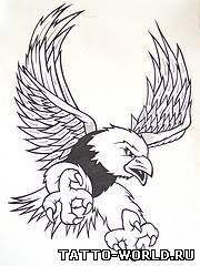 Tattoo eagle,eagle tattoos,eagle tatto,taturiovki orlov,o...