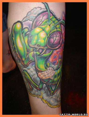 Tatuirvki nasekomix,tattoo nasikomiye,tatoo muravyov,tato...