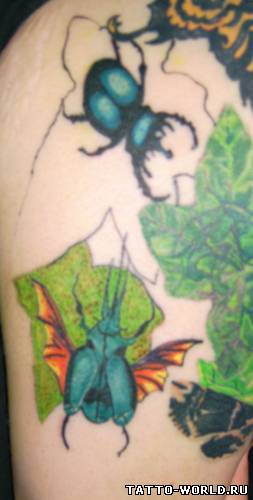 Tatuirvki nasekomix,tattoo nasikomiye,tatoo muravyov,tato...