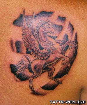 Horse Tatto,Tatto Horse,hores Tattoos (9)