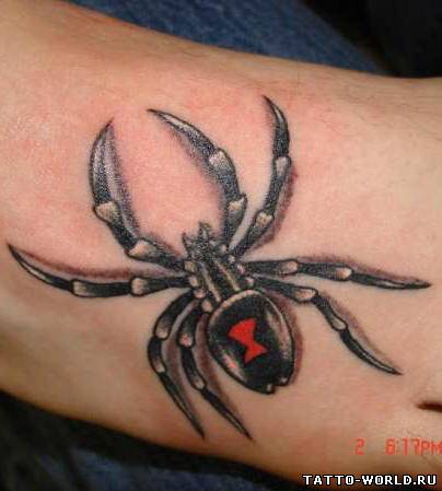 Tattoo Spider,Tattoo Spiders,Spider,Tattoo,tatuirovki pau...
