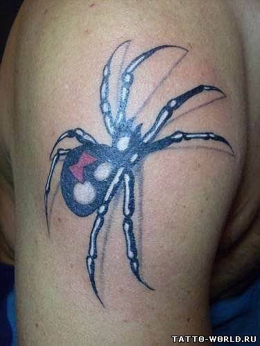 Tattoo Spider,Tattoo Spiders,Spider,Tattoo,tatuirovki pau...