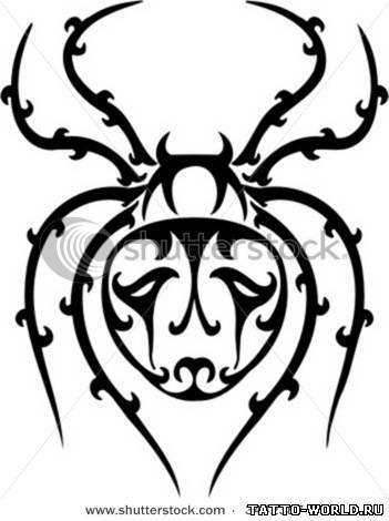 Tattoo Spider,Tattoo Spiders,Spider,Tattoo,tatuirovki pau...