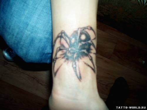 Tattoo Spider,Tattoo Spiders,Spider,Tattoo,tatuirovki pau...