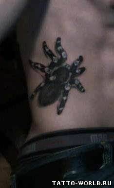 Tattoo Spider,Tattoo Spiders,Spider,Tattoo,tatuirovki pau...