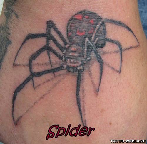 Tattoo Spider,Tattoo Spiders,Spider,Tattoo,tatuirovki pau...