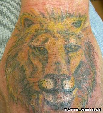 Lions,Lion,Lion Tatto,Lions Tattoo,Lions tattoos,tatto li...