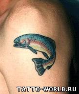 Tattoo fish,fish tattoos,tatuirovki rib,riba,tatoo,nakolk...