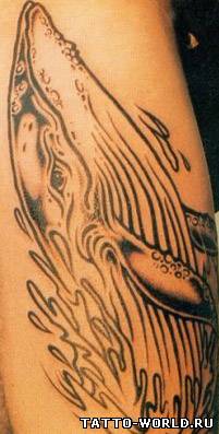 Tattoo fish,fish tattoos,tatuirovki rib,riba,tatoo,nakolk...