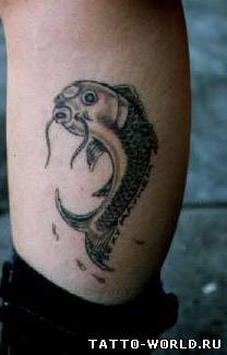 Tattoo fish,fish tattoos,tatuirovki rib,riba,tatoo,nakolk...