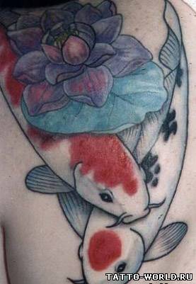 Tattoo fish,fish tattoos,tatuirovki rib,riba,tatoo,nakolk...